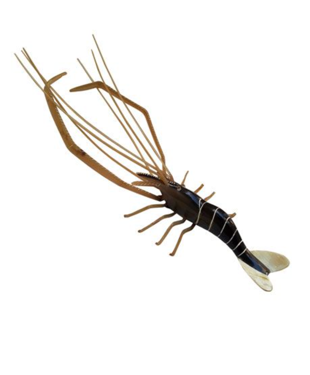 BEAUTIFUL HORNCRAFT PRAWN SHOWPIECE/ WALL HANGING