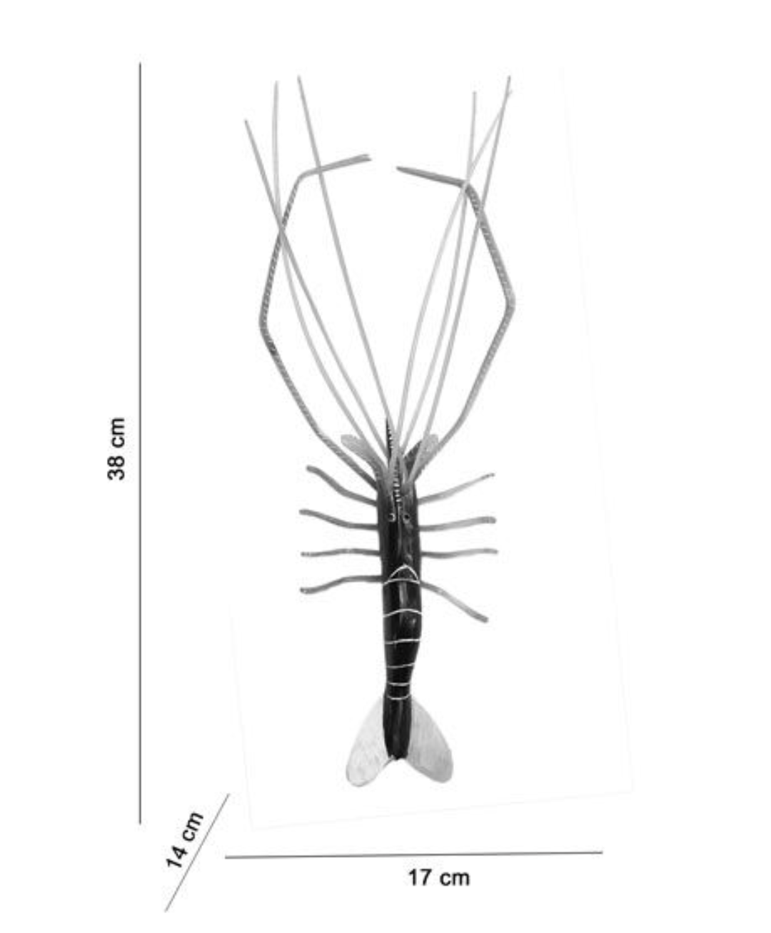 BEAUTIFUL HORNCRAFT PRAWN SHOWPIECE/ WALL HANGING